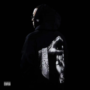 网站SSL小鲤导航
