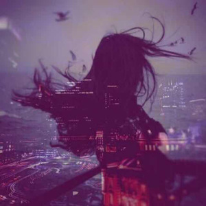 网站SSL小鲤导航
